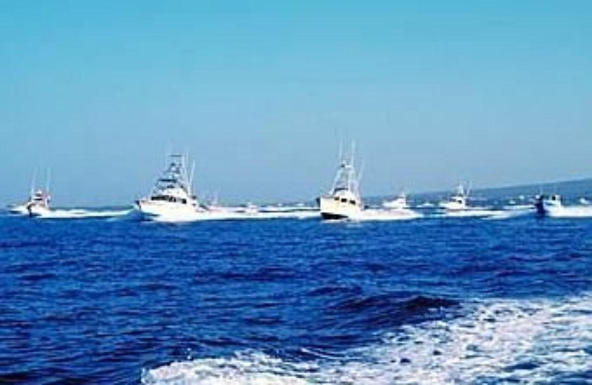 Hale-Hoola B & B Captain Cook Εξωτερικό φωτογραφία